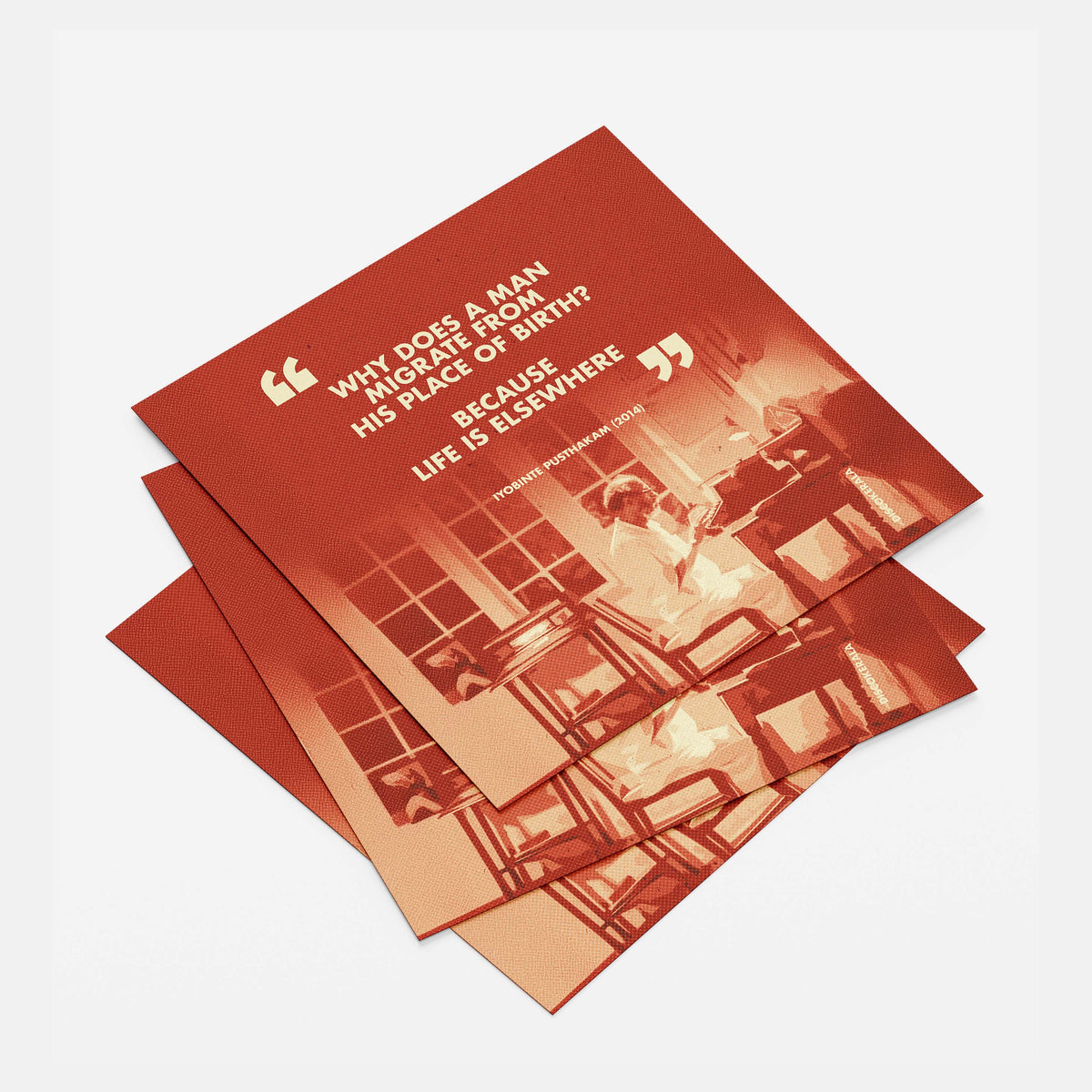 Wall Poster Bundle / Mollywood 01  / Set of 20